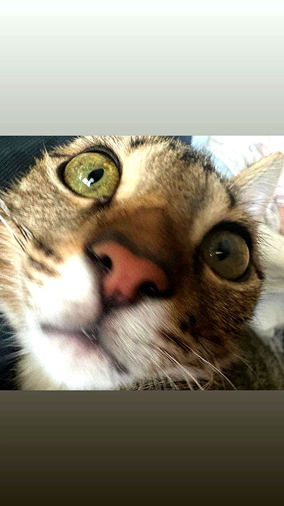 hellokittyangel666 hellokittyangel666 archive video