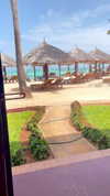 liya_manor_ Altpins Profile Picture