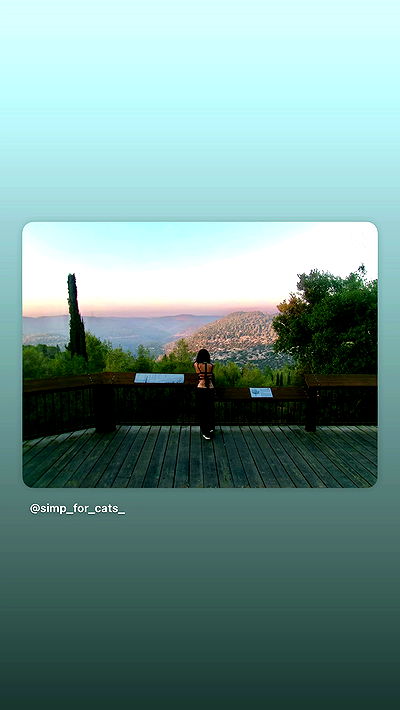 simp_for_cats_ simp_for_cats_ archive video