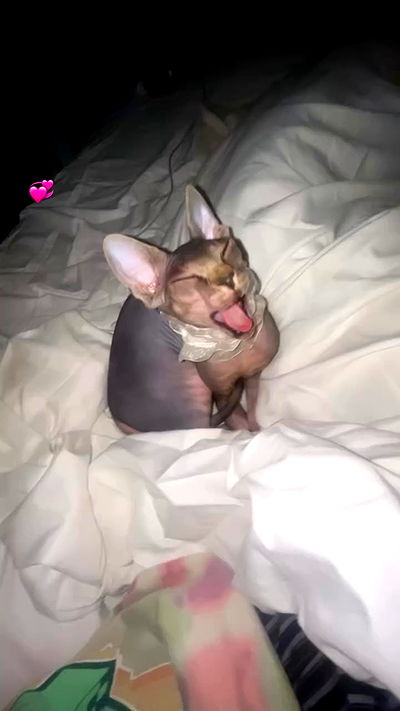 zommmbri zommmbri archive video