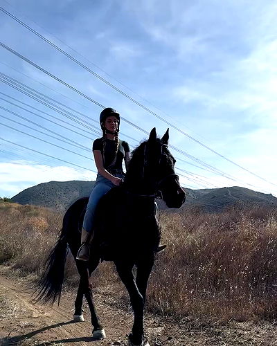 carolinezalog carolinezalog archive video