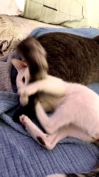 natalllluli natalllluli archive video