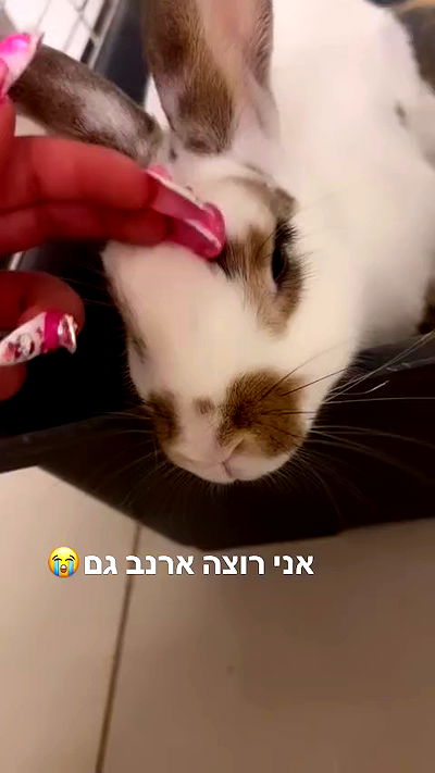 hellokittyangel666 hellokittyangel666 archive video