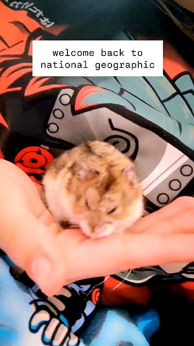 1justsabi 1justsabi archive video