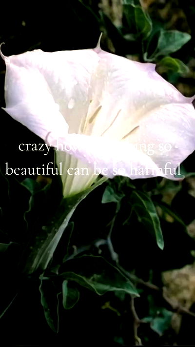 feelbetterinmysweater feelbetterinmysweater archive video