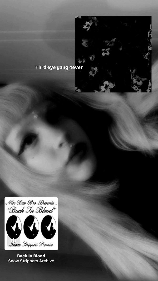hilaxkitty archive video preview