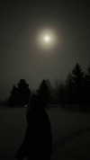 mlllkvv Altpins Profile Picture