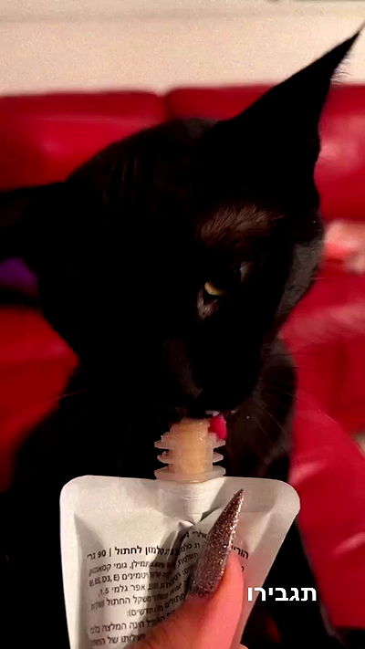 rebecka_tsadok rebecka_tsadok archive video