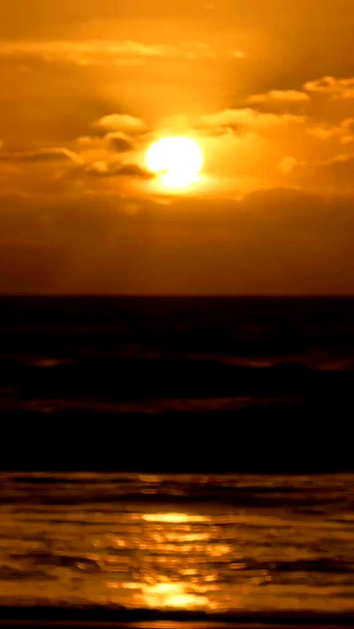 adellepisar adellepisar archive video