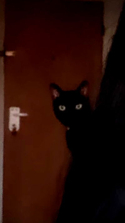 feelbetterinmysweater feelbetterinmysweater archive video