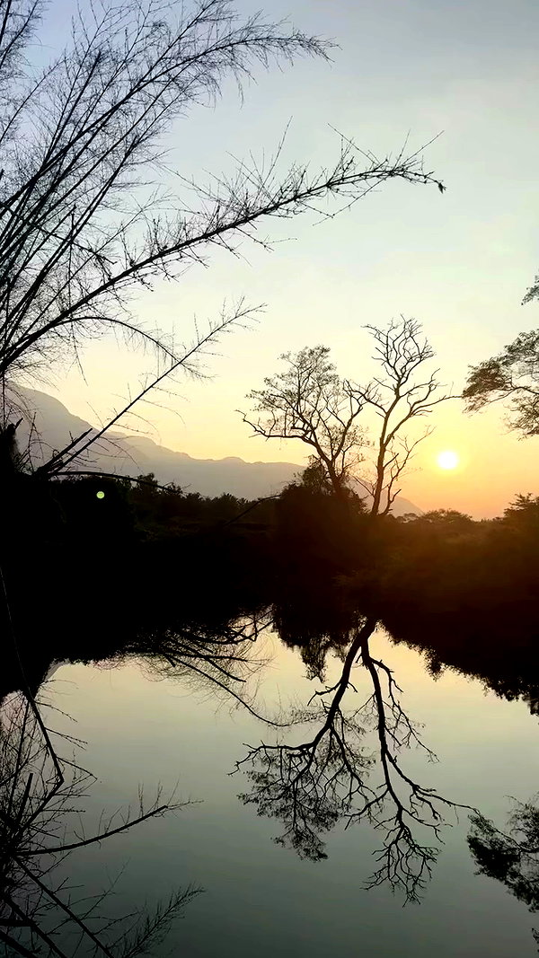 noa_mendel_ archive video preview