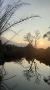 noa_mendel_ Altpins Profile Picture