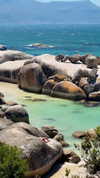 noa_mendel_ Altpins Profile Picture