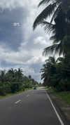 veronika_grish Altpins Profile Picture