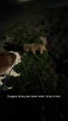 cclaire.bbear1 Altpins Profile Picture