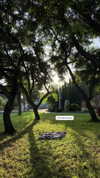 roni_ackerman Altpins Profile Picture