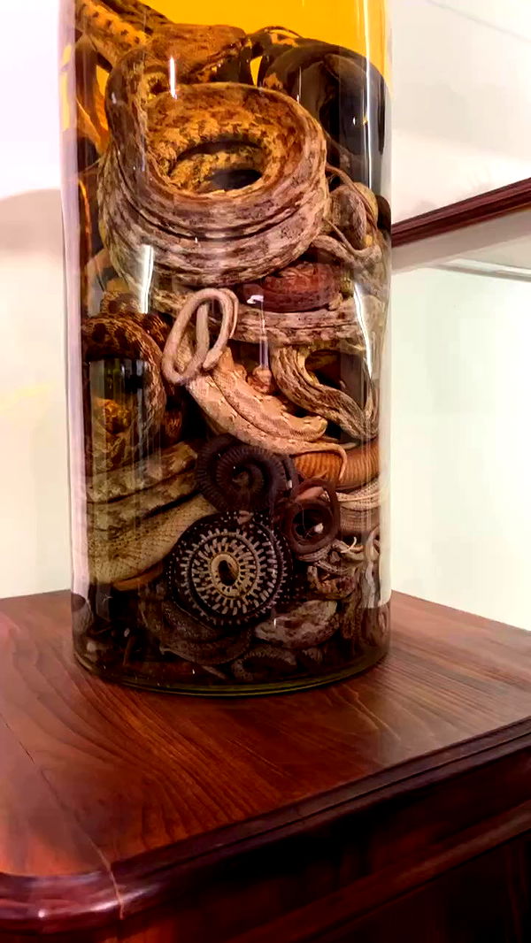 jaroslava_klavir archive video preview