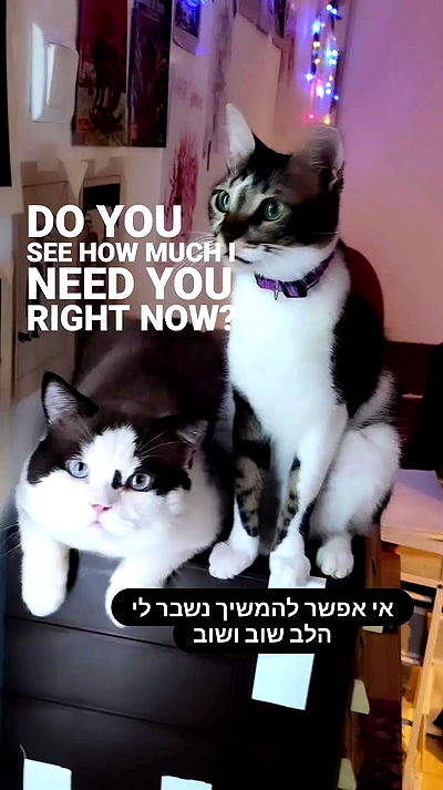 moonyyyya moonyyyya archive video