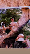 vadim_evs Altpins Profile Picture
