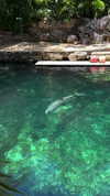 shirin_danin Altpins Profile Picture