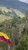 romy.benshushan Altpins Profile Picture