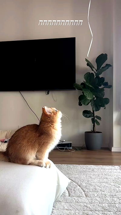 itsilanosh itsilanosh archive video