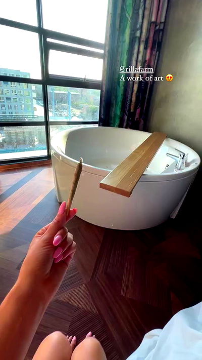 bakedsloths bakedsloths archive video