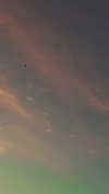cellow111 Altpins Profile Picture