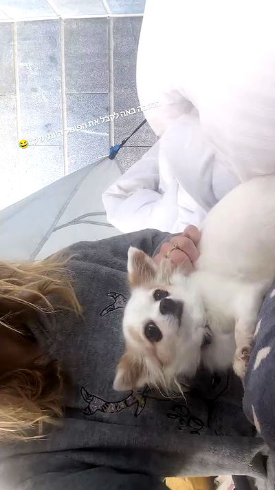 tinapavlov.sky tinapavlov.sky archive video