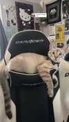 valeriecastellano Altpins Profile Picture