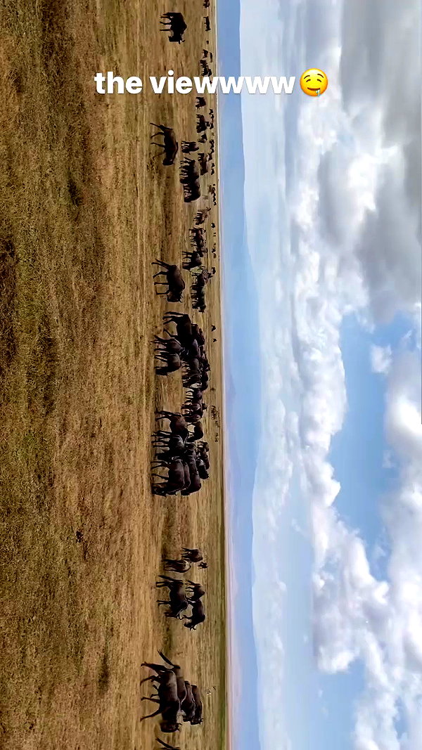 noa_mendel_ archive video preview