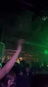 shelly_roberin Altpins Profile Picture