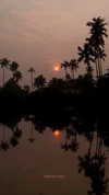 noa_mendel_ Altpins Profile Picture