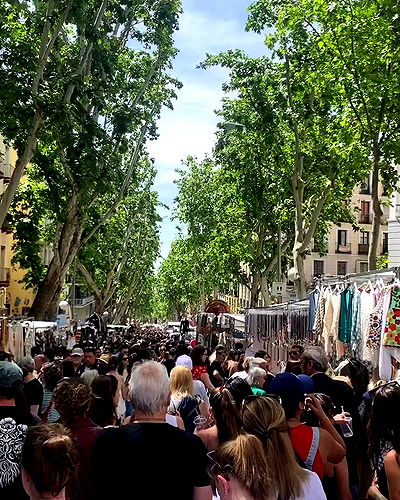 yam_adler yam_adler archive video