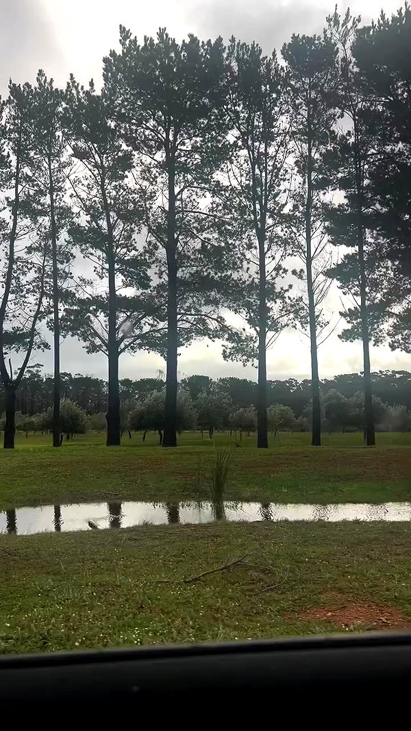 oliviaspasojevic archive video preview