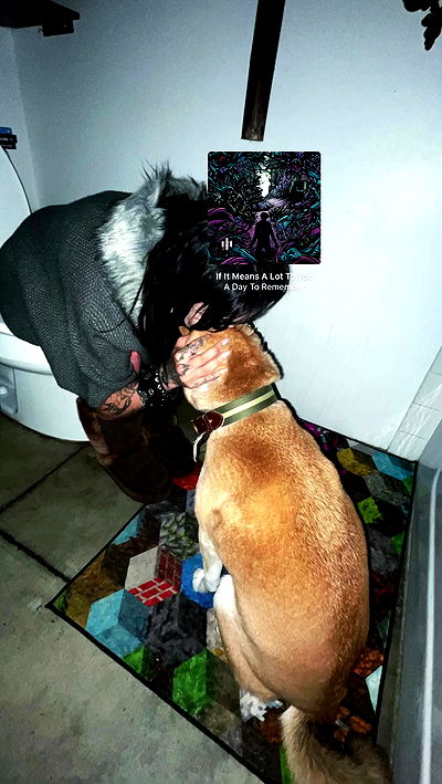 zommmbri zommmbri archive video