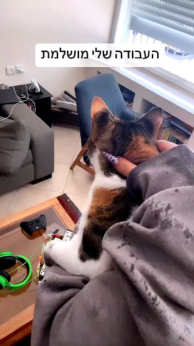 hellokittyangel666 hellokittyangel666 archive video