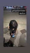 nylthria Altpins Profile Picture