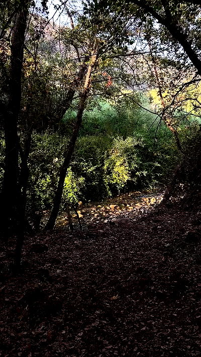 feelbetterinmysweater feelbetterinmysweater archive video