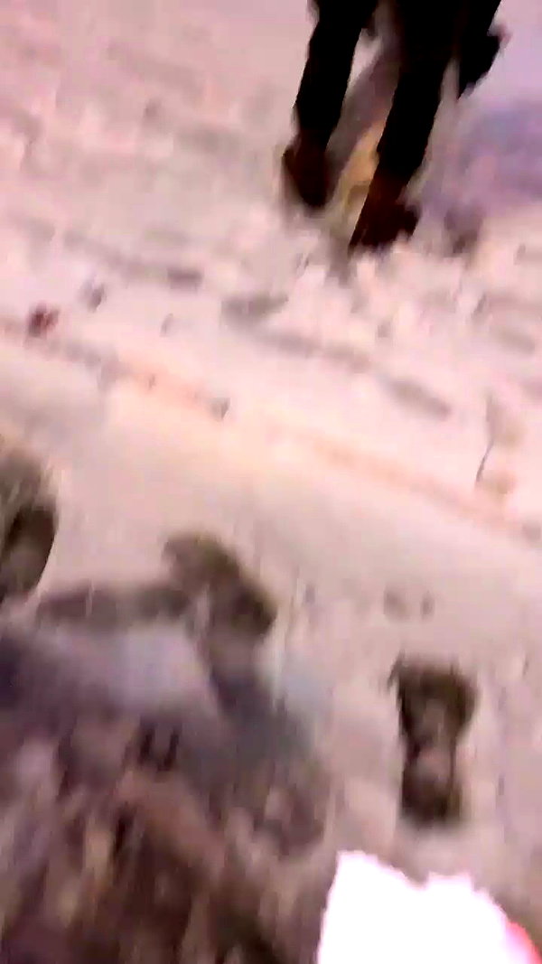 shani.zeltzer archive video preview