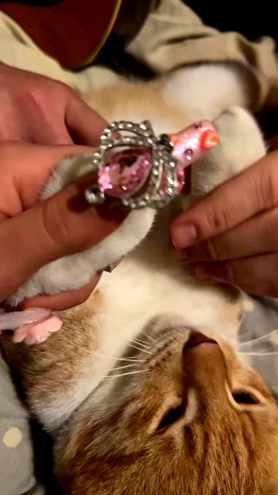 hellokittyangel666 hellokittyangel666 archive video