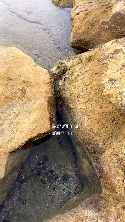 feelbetterinmysweater feelbetterinmysweater archive video