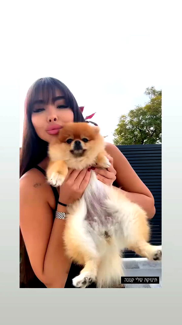 diana_tal_ archive video preview