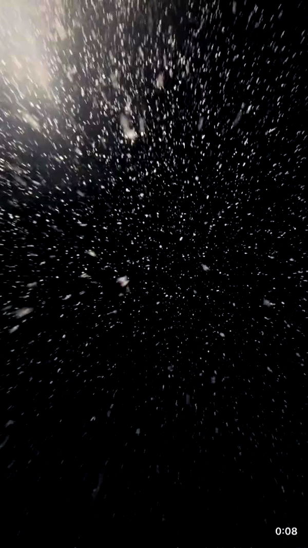 liashaked archive video preview