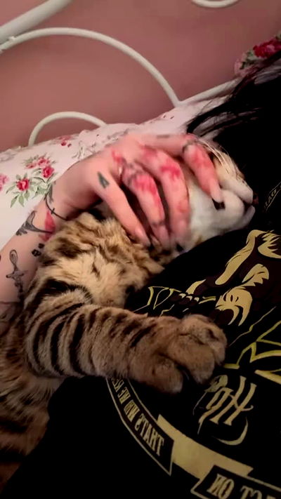 laurinchhhe laurinchhhe archive video