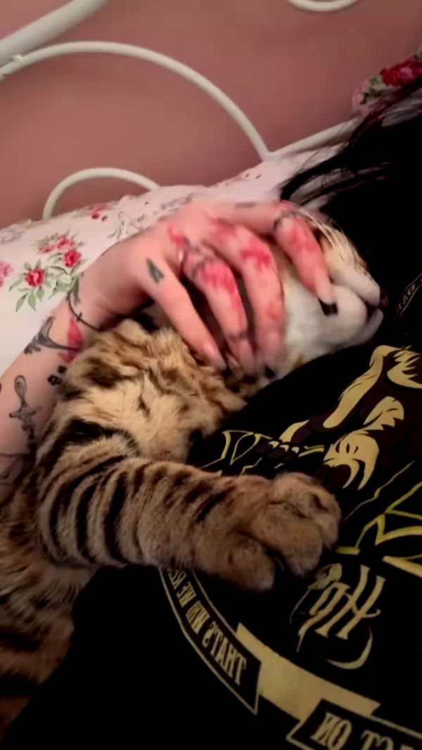 laurinchhhe archive video preview