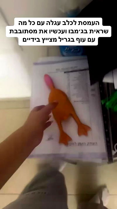 shelly_.mor shelly_.mor archive video