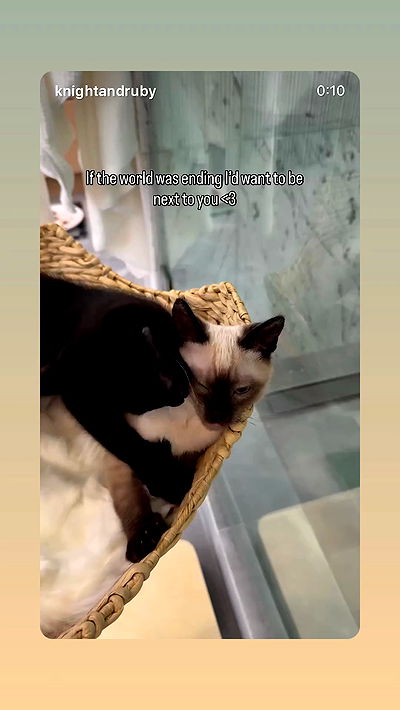 sophiemudd sophiemudd archive video