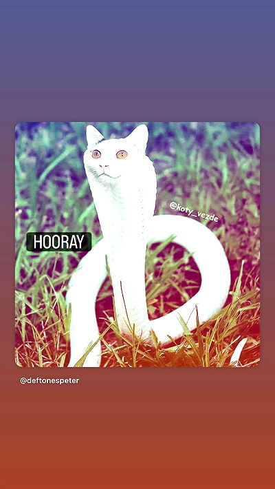 vamppyrbaby vamppyrbaby archive video