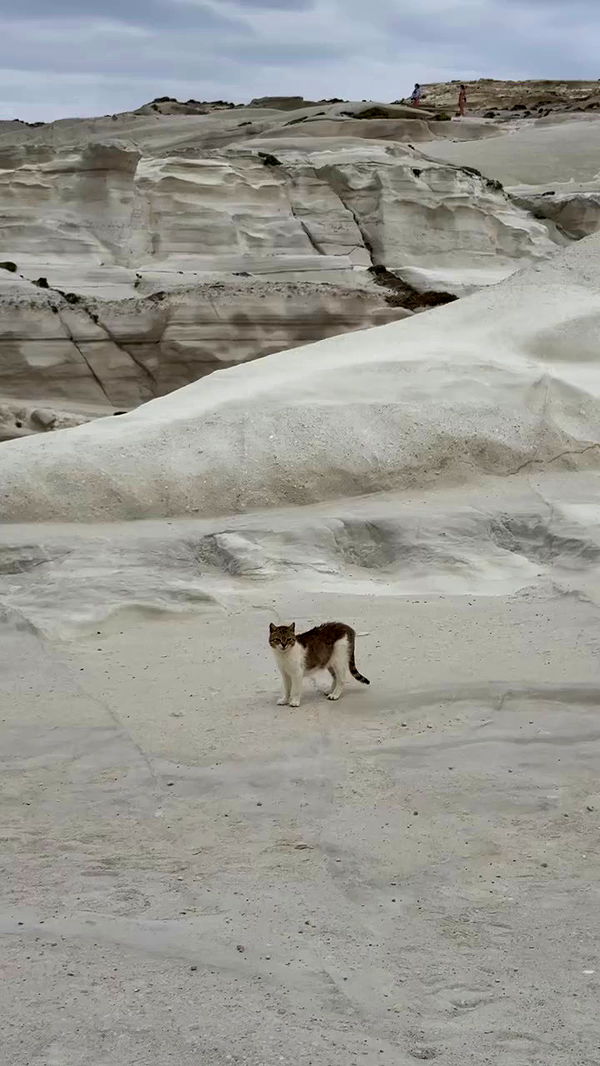 payton.r archive video preview